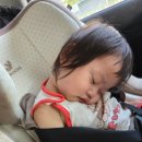 사랑방농원 이미지