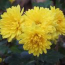 모리폴리 이미지