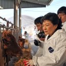 증산한우농장 이미지