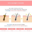 펫미나무 이미지