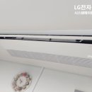 넬시스템 이미지