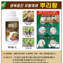 옥천농협북일지점 이미지