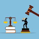 효신 행정사사무소 이미지