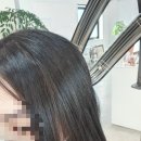 살롱드리카
