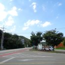 장호초교 이미지