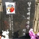 자하연분당, 판교공원묘원 이미지