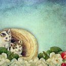 휴식공간 이미지