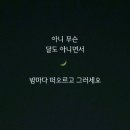 !찬!란한 찬희에게, !희!사만 생기길 #5 이미지