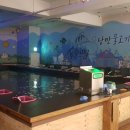 낭만물고기 이미지