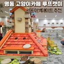 션샤인캣 | 명동 고양이카페 루프캣미 내돈내산 후기 서울 실내 이색데이트 가격 시간 꿀팁