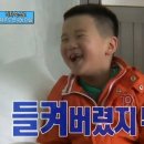 퍼피클럽 이미지