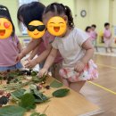도날드어린이집 4세 생태수업 후기 | 비 오는 날에도 자연을 만나는 즐거운 교실