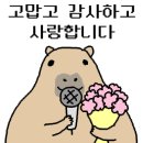 인디자인두피탈모