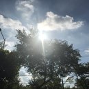 어깨동무한의원 이미지