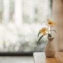 세례자 요한의 죽음 이미지
