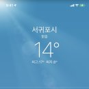 제주유유자적 이미지