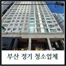 동부산약품㈜ | 부산 서구 정기 청소 후기 소형 아파트 공용공간 현장 기록