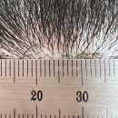 연세모에버의원 이미지