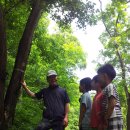 소양초병설유치원 이미지