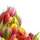 일기일회 이미지