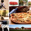 호선농장 이미지