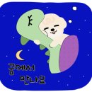 충남동물병원 - 보령시 홍보로 417-1 | 충남동물병원