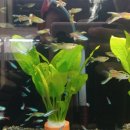 비즈아쿠아수족관 이미지