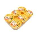 푸딩이네 이미지