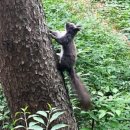 그린농원식당 이미지