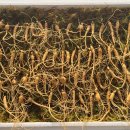 강원도 횡성군 횡성읍 화성로 이미지