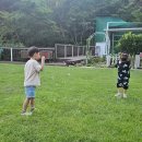 팔색조 펜션 이미지