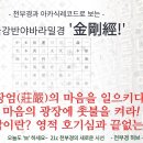 236강 '新금강경 11장' [ '항하사수, 영위다!'는 아카식 레코드! 이치의 강에서 뿌려지는 빛과 생명의 힘! ] 이미지