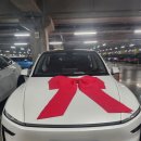 700290 | 테슬라 모델Y 주니퍼 구입기(가격)