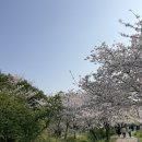 예래입구 | 서귀포 중문 예래생태공원 : 제주도 벚꽃 유채꽃 아기랑 스냅명소 4월5일 방문후기