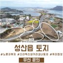 제주노른자부동산중개 | [매매]"제주도 토지"【서귀포시 성산읍 최고의 노른자부지, 스타벅스삼거리 코너, 스타벅스 진입전...