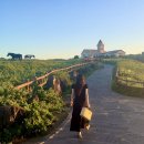 신양리 동쪽 방파제 입구 | 제주 동쪽 가볼만한곳 섭지코지 주차장 해안길 산책