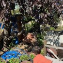 청도편백숲하우스 이미지