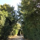 한돌농장 이미지