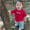 예솔어린이집 | 부모님 모두 행복해지는 대화마을어린이집 대화예솔의 특별한 보육 이야기