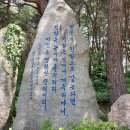 지친 심신 달래려면 통도사 무풍한송로 산책 강추 이미지