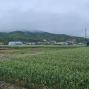 중앙남성경로당 이미지