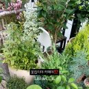 향로산로 이미지