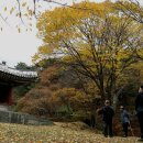 문화유산답사 이미지