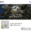 민들레김밥죽전홀씨점 | 2026년 5월 첫째주 (05.04 - 05.10)