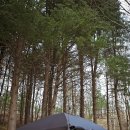 동그라미캠핑장 이미지