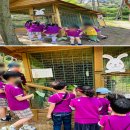 웅포 곰돌이 유아숲체험원 이미지