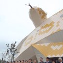 함평양서파충류생태공원 이미지