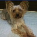 인헌동-27 이미지