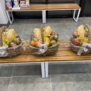 새싹 동물병원 이미지