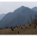 2007-주019 이미지
